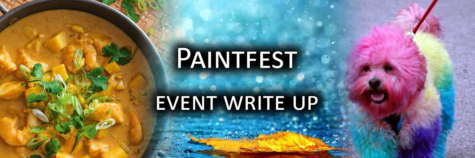 Paintfest Event Writeup
